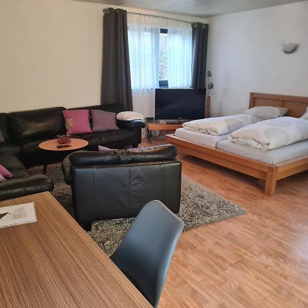Apartment Zum Wohlfuehlen In Ruhiger Lage Pfungstadt Eksteriør bilde