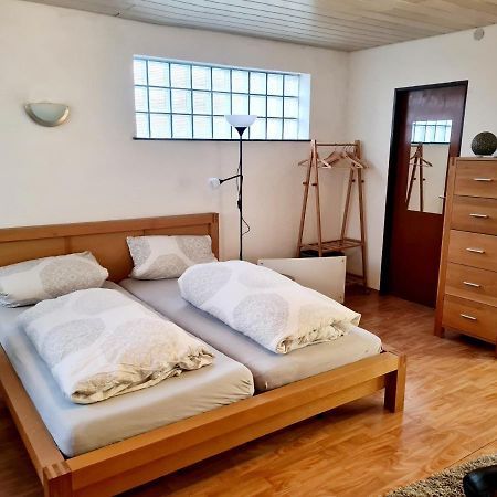 Apartment Zum Wohlfuehlen In Ruhiger Lage Pfungstadt Eksteriør bilde