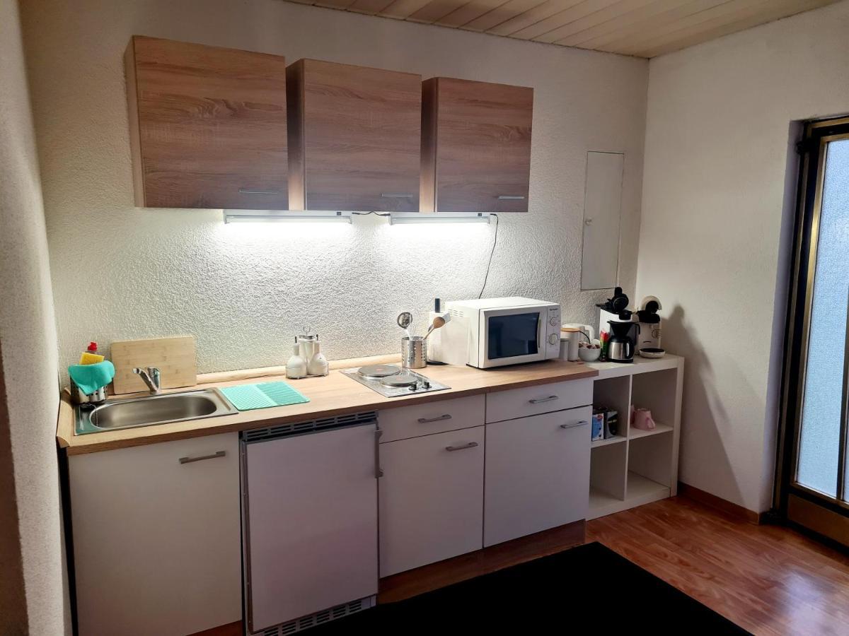 Apartment Zum Wohlfuehlen In Ruhiger Lage Pfungstadt Eksteriør bilde
