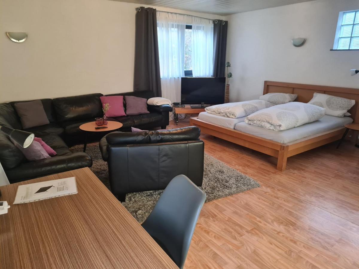 Apartment Zum Wohlfuehlen In Ruhiger Lage Pfungstadt Eksteriør bilde