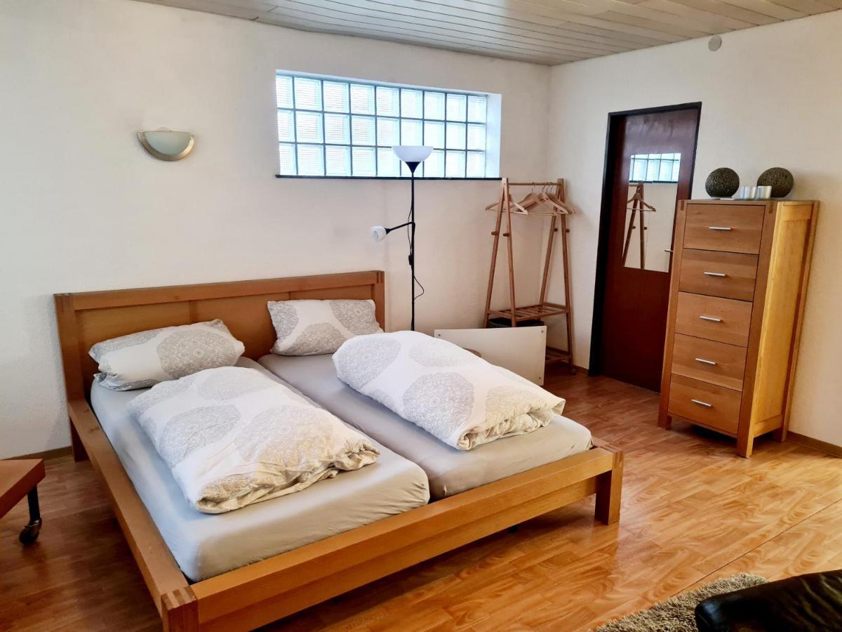 Apartment Zum Wohlfuehlen In Ruhiger Lage Pfungstadt Eksteriør bilde