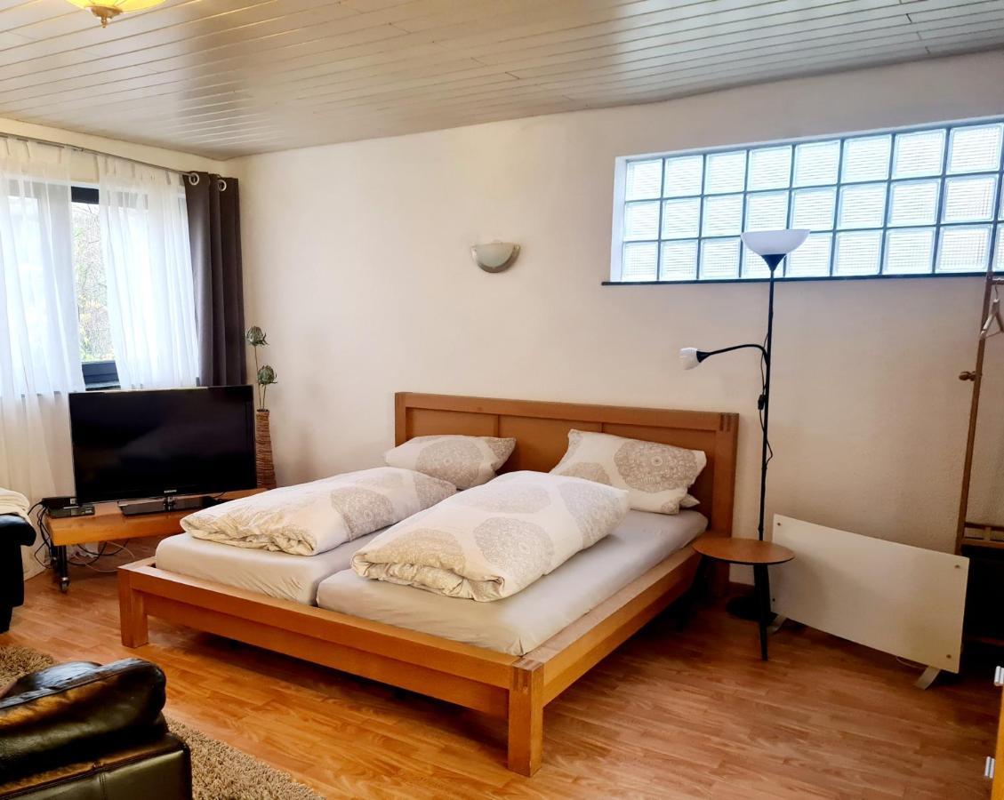 Apartment Zum Wohlfuehlen In Ruhiger Lage Pfungstadt Eksteriør bilde